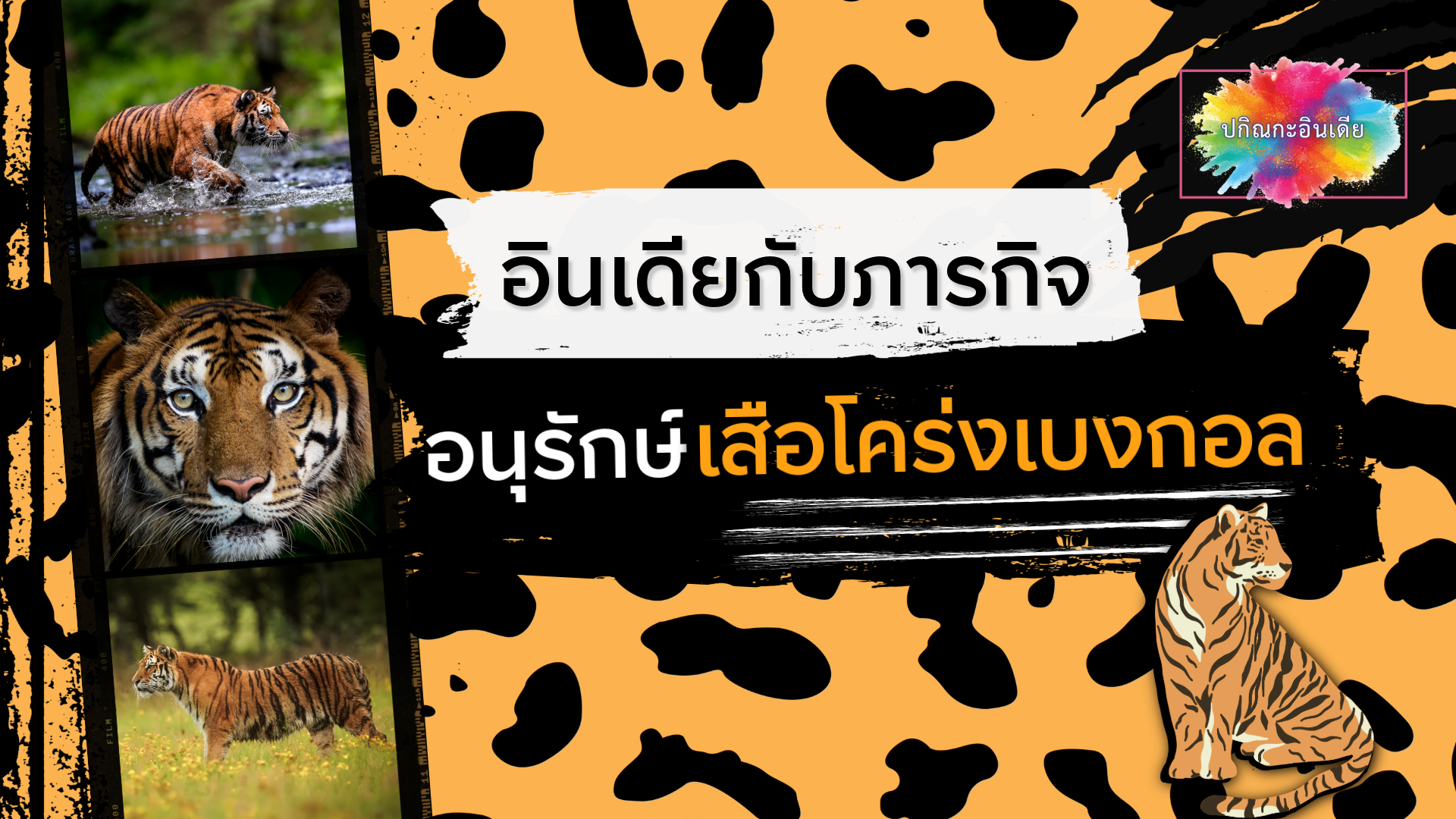 อินเดียกับภารกิจอนุรักษ์เสือโคร่งเบงกอล