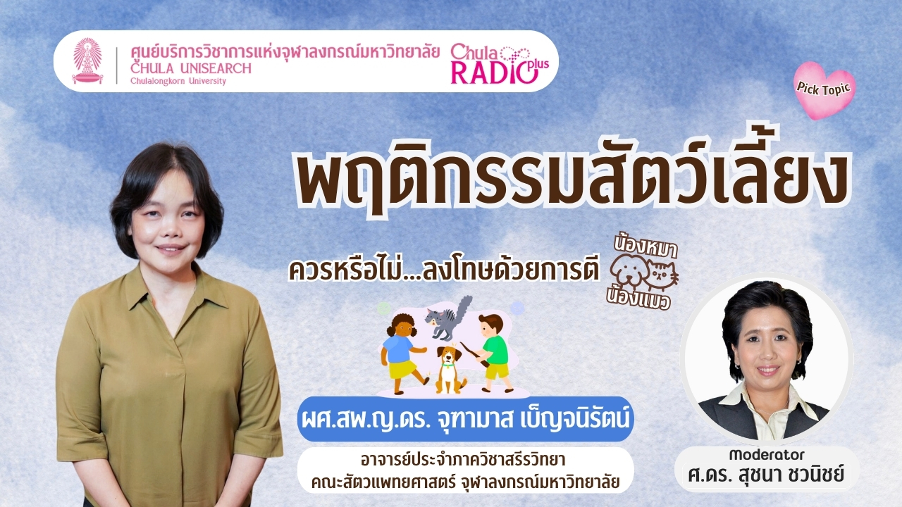 พฤติกรรมสัตว์เลี้ยง: หมาแมวทำผิด ลงโทษด้วยการตีดีจริงหรือ
