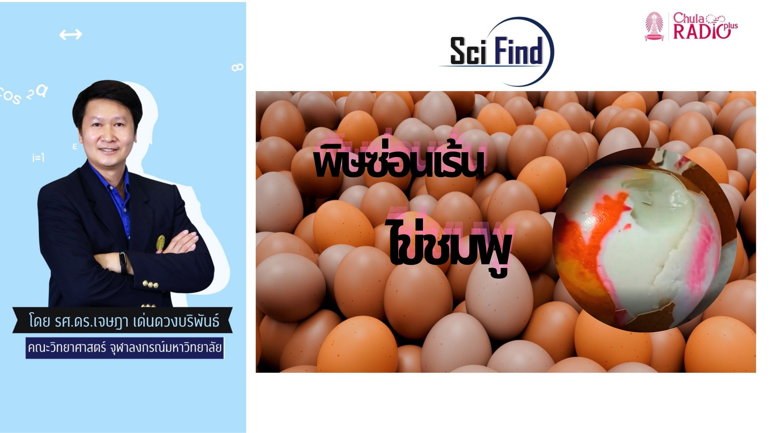 ปริศนาภายใต้ไข่ไก่สีชมพู เกิดขึ้นได้อย่างไร บริโภคได้หรือไม่  | Scifind EP116
